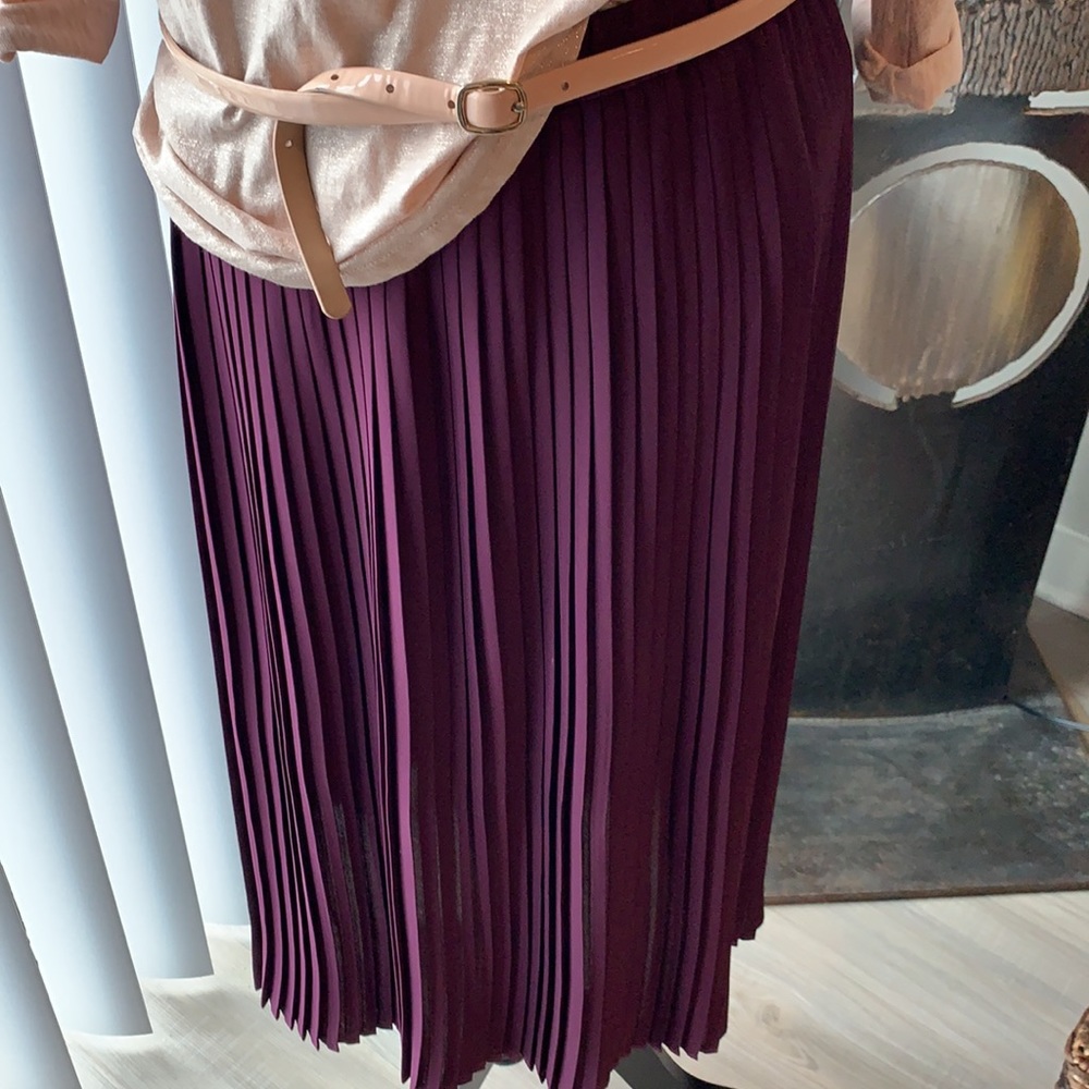 Eileen Fisher Pleated Chiffon Skirt